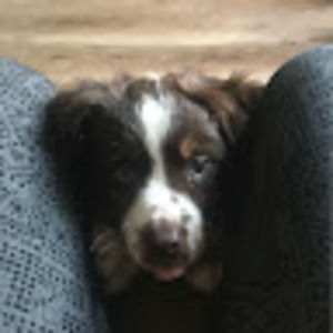 Meet your Posher, Hailey